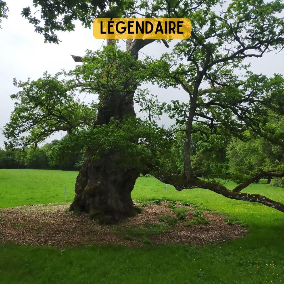 Camping Le Val Aux Fees - Broceliande Concoret エクステリア 写真